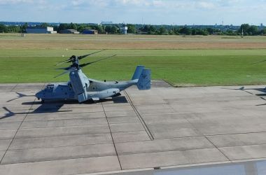 Two ospreys on apron